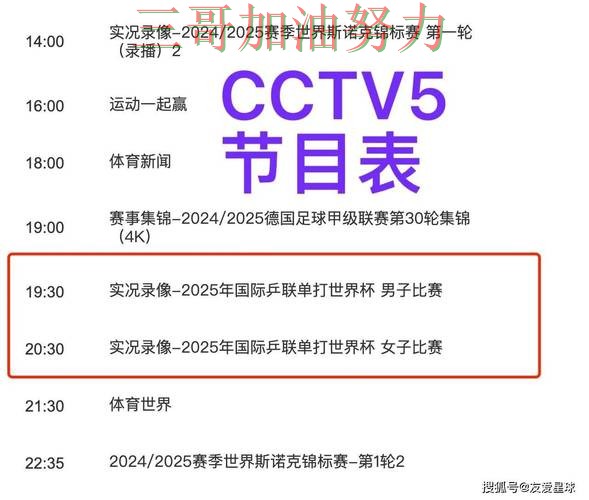 世界杯买球平台推荐：聚焦实时直播与赛事直播体验 - 世界杯官方信息