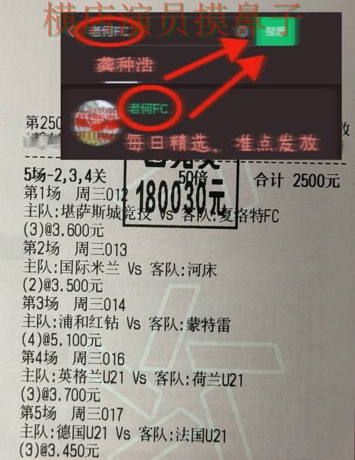 世界杯买球网站解析报告：玩法指南+直播与实际体验总结 - 2026世界杯