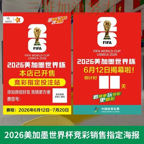 世界杯投注网站大全全面评测实录：靠谱吗真实情况曝光（2026世界杯）